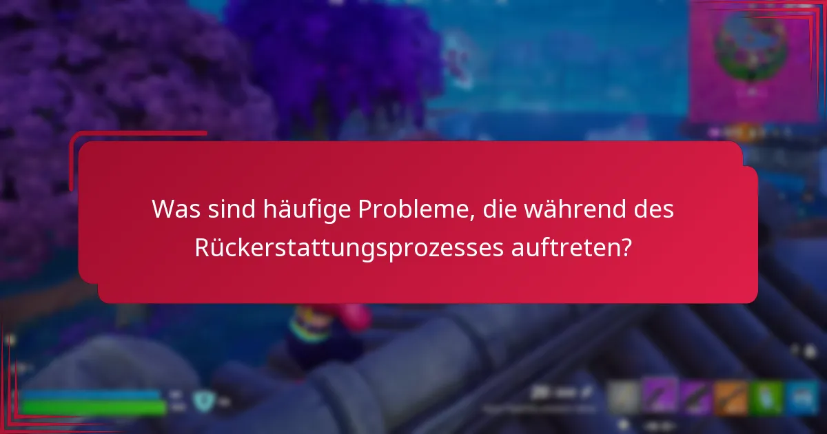 Was sind häufige Probleme, die während des Rückerstattungsprozesses auftreten?