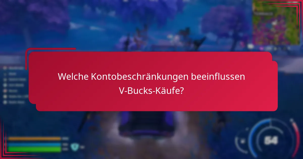 Was sind häufige Probleme bei V-Bucks-Käufen?